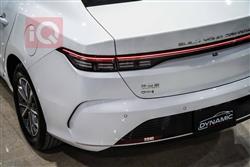 بی وای دی دیسترۆیەر 05